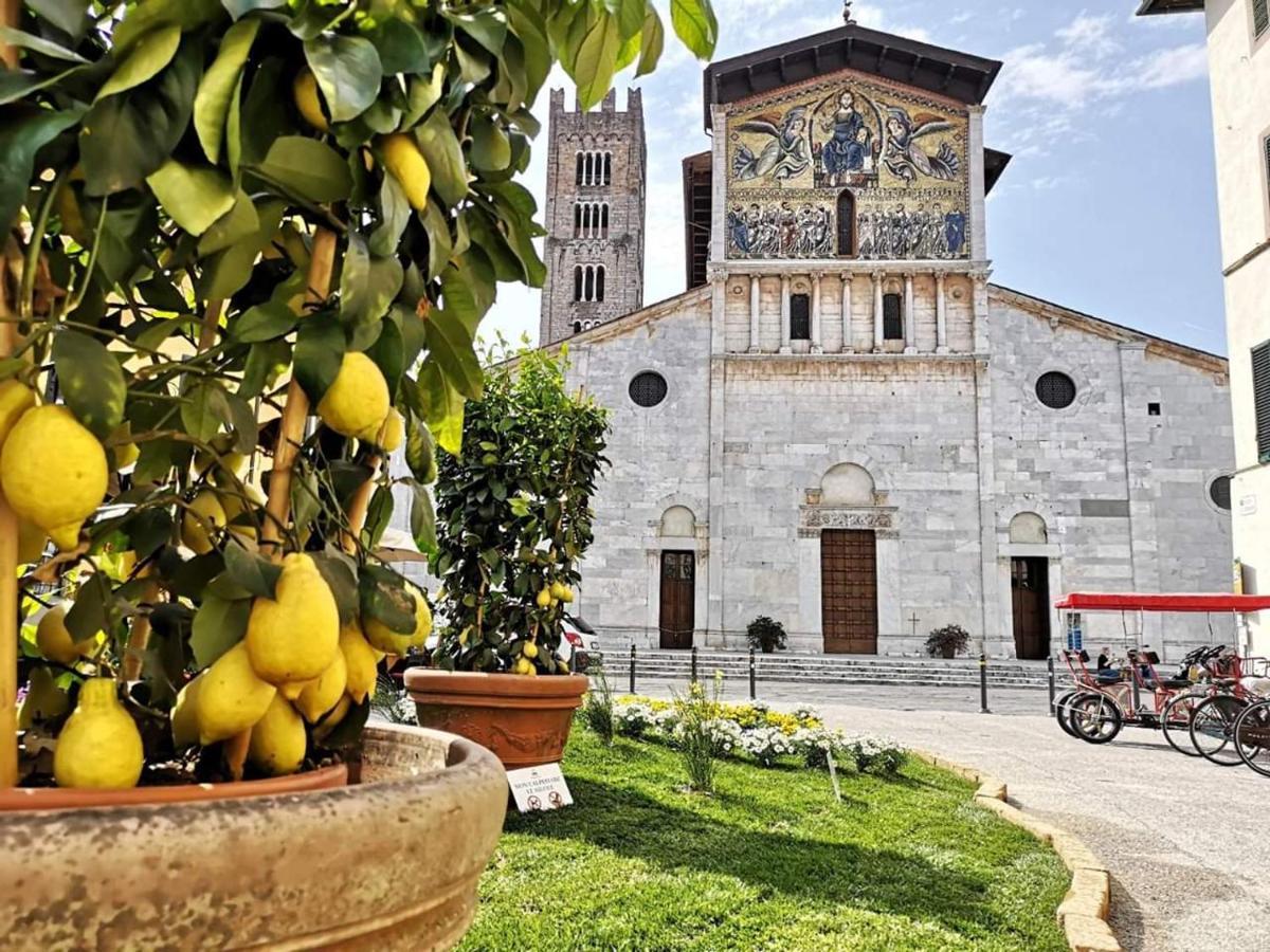 Lucca In Corte Near The City Centre Exterior foto